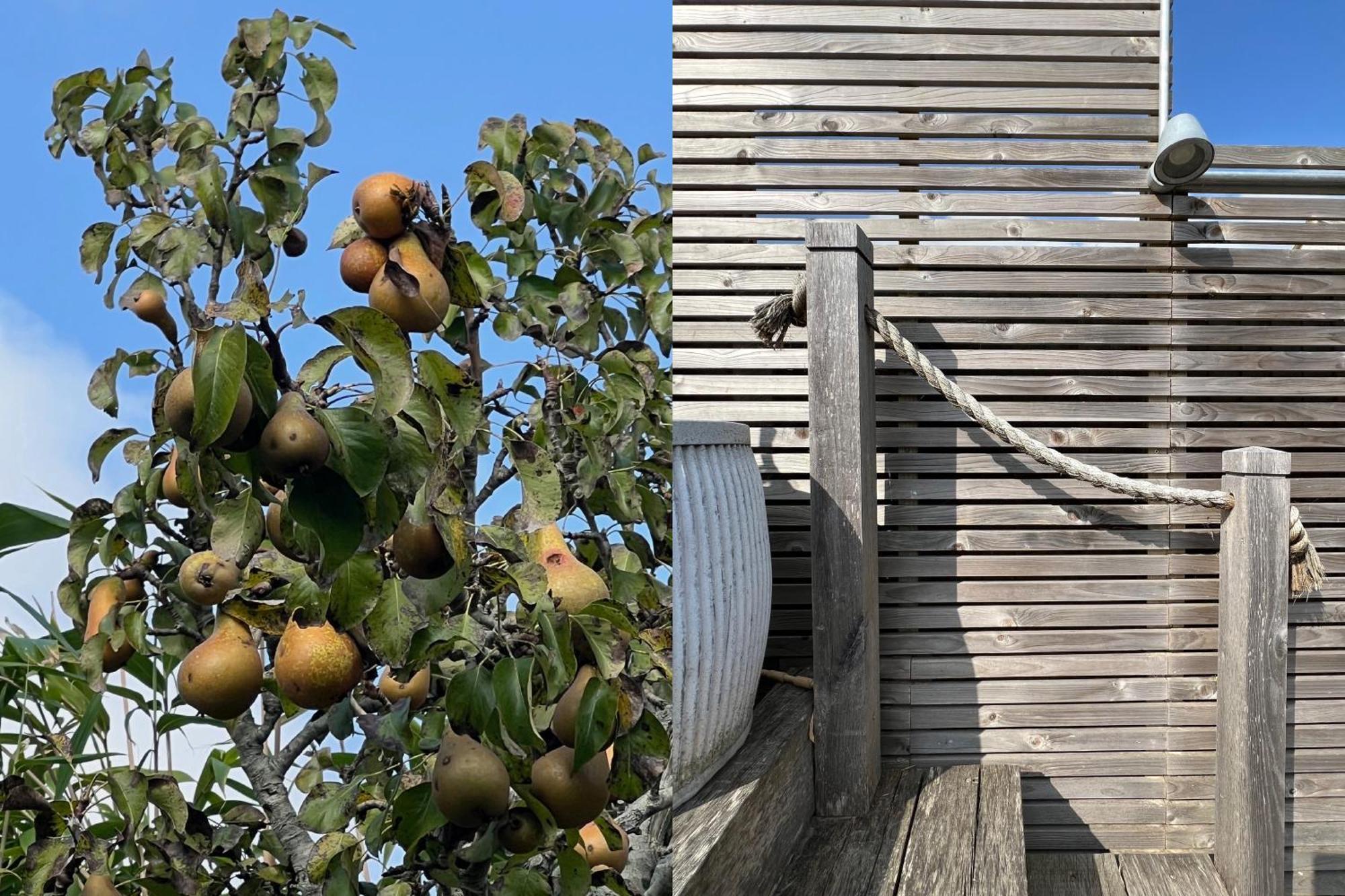 Kinara In Camber别墅 外观 照片